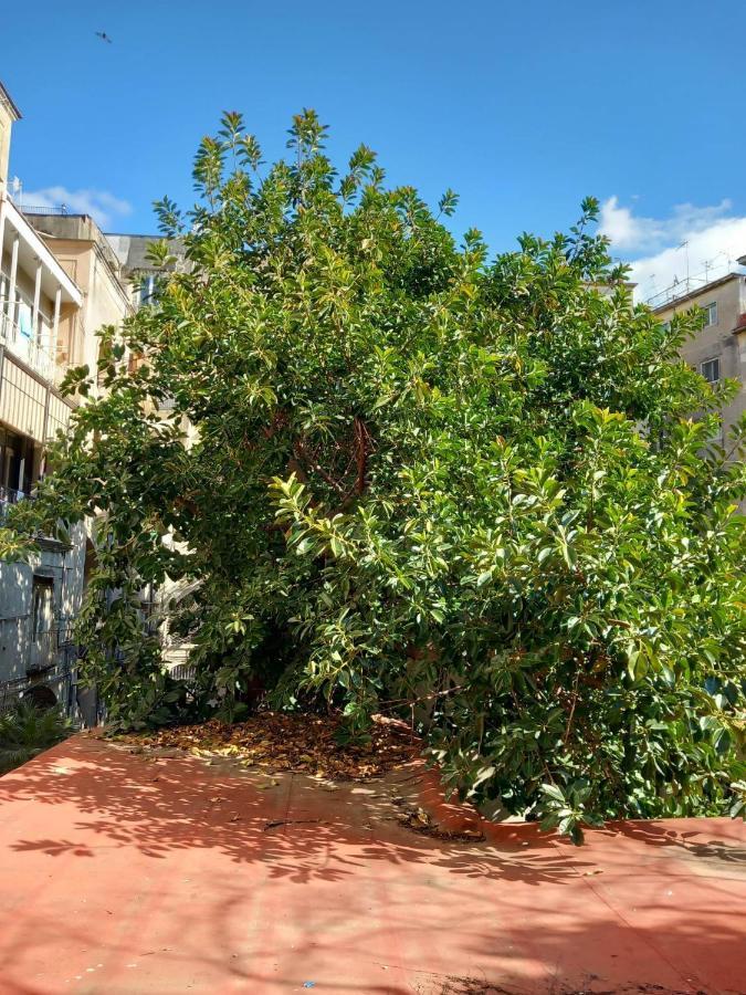 Santa Chiara Home Spaccanapoli ภายนอก รูปภาพ